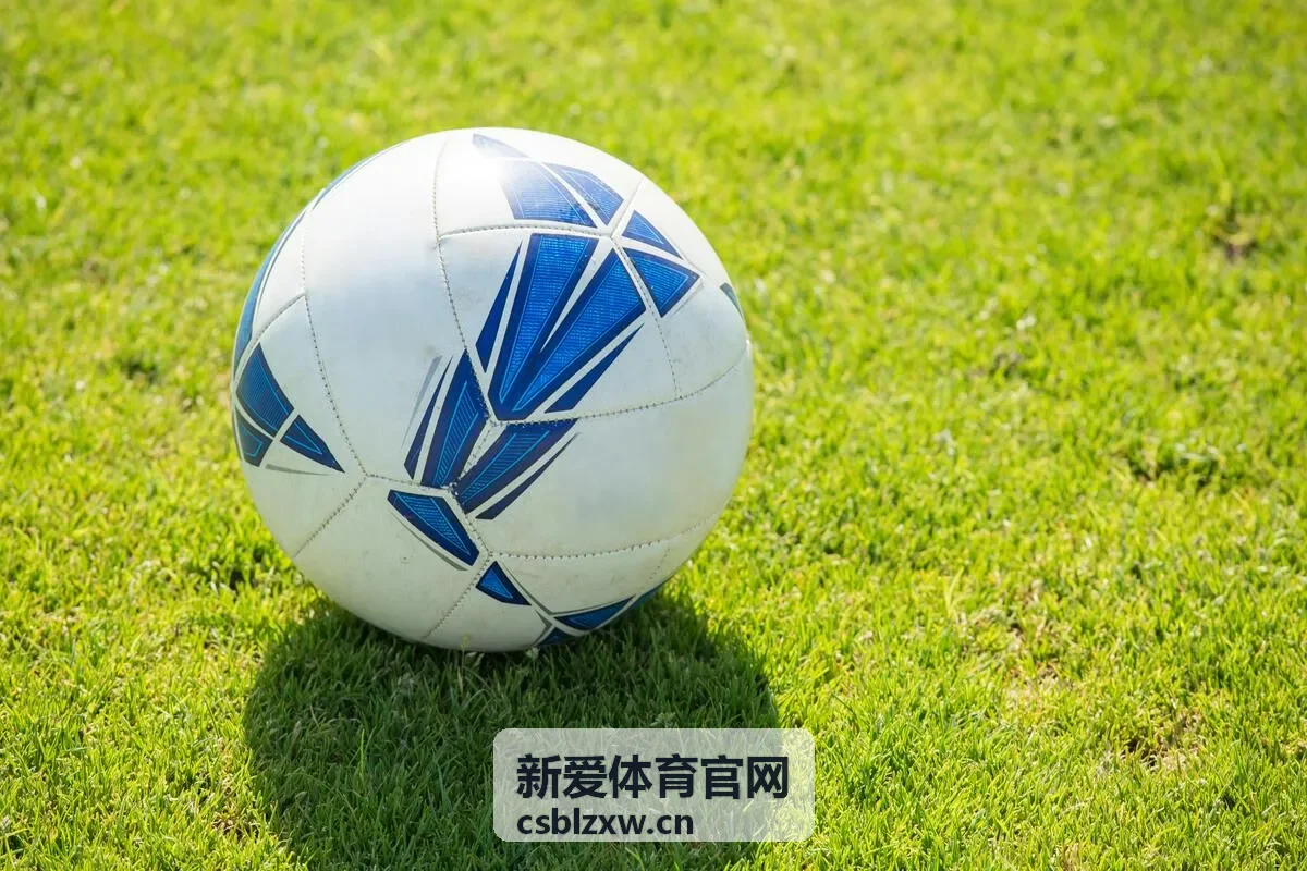 新爱体育官网发布的赛事与运动服务记录