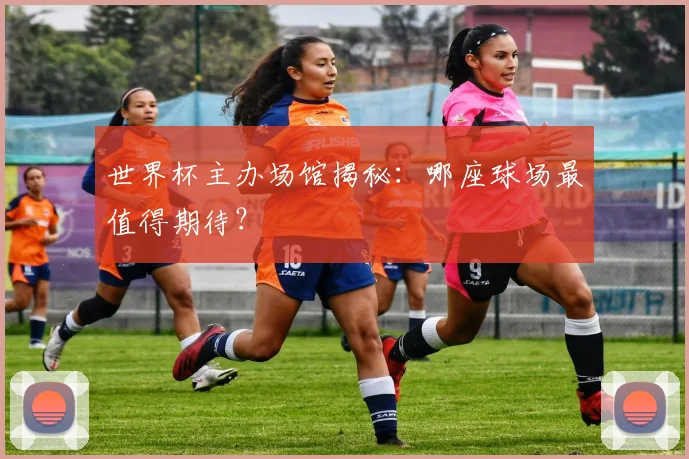 世界杯主办场馆揭秘:哪座球场最值得期待?