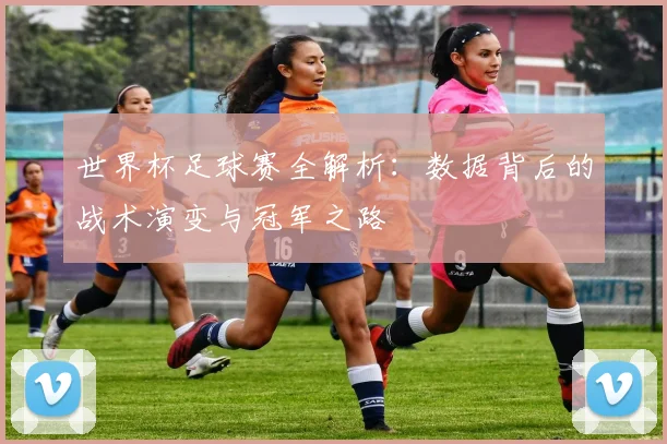 世界杯足球赛全解析：数据背后的战术演变与冠军之路