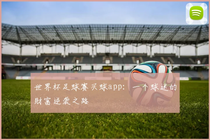 世界杯足球赛买球app：一个球迷的财富逆袭之路