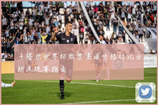 卡塔尔世界杯购票渠道价格对比分析及观赛指南